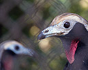 _DSC3797_DSC3566