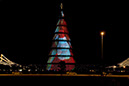 _BRA2924 Arbre Noel L US