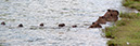 _DSC4129 Brasilia
