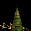 _BRA2867 Brasilia