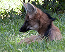 _DSC4058 Brasilia