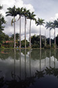 _DSC0249 Braslandia AA