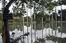 _DSC0327 Brazlandia AA 