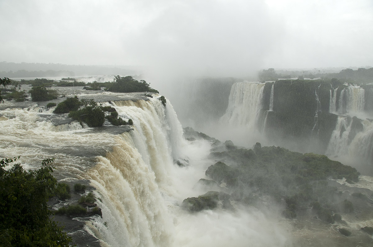 _FLO8278 Iguacu