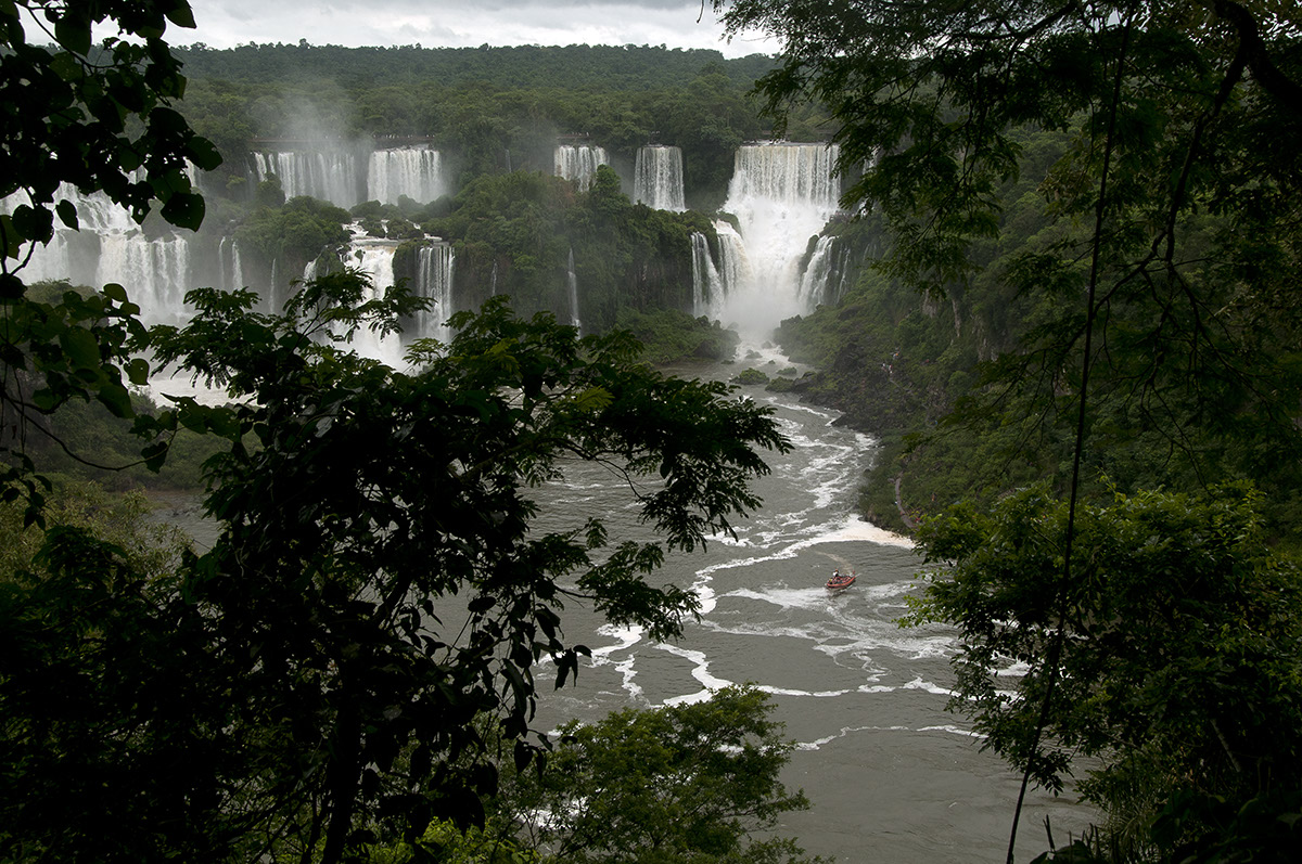 _FLO8141 Iguacu