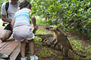 _FLO8090 Iguacu