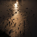 _DSC8714 Rio de Janeiro crop