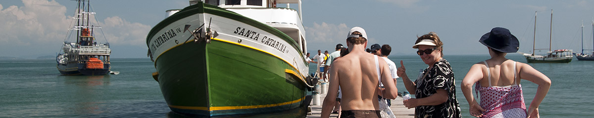 _FLO4767 Santa Carolina