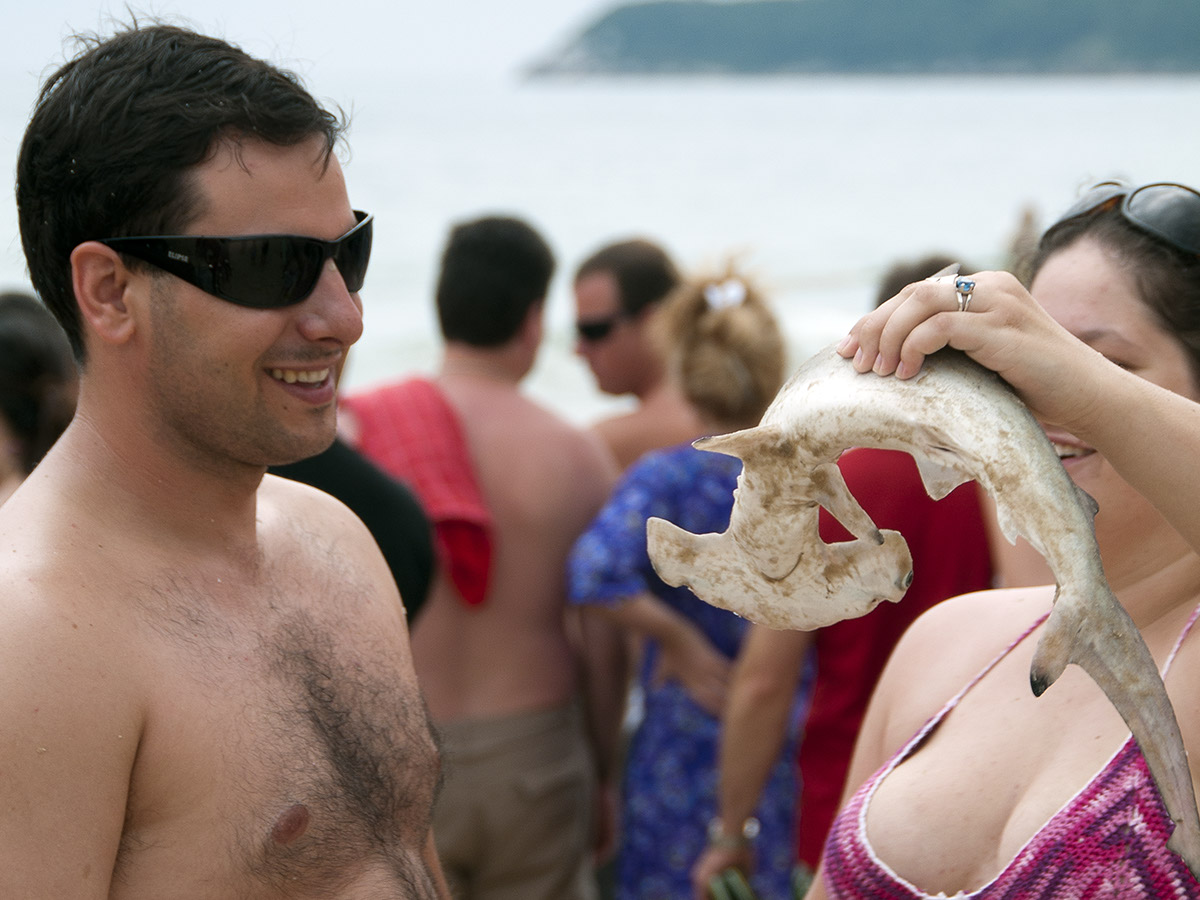 _FLO4676 Santa Catarina