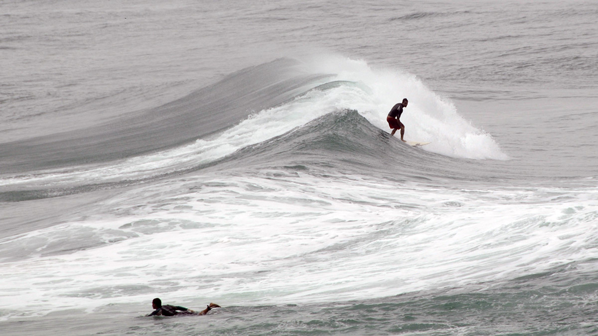 _FLO7720 Florianopolis