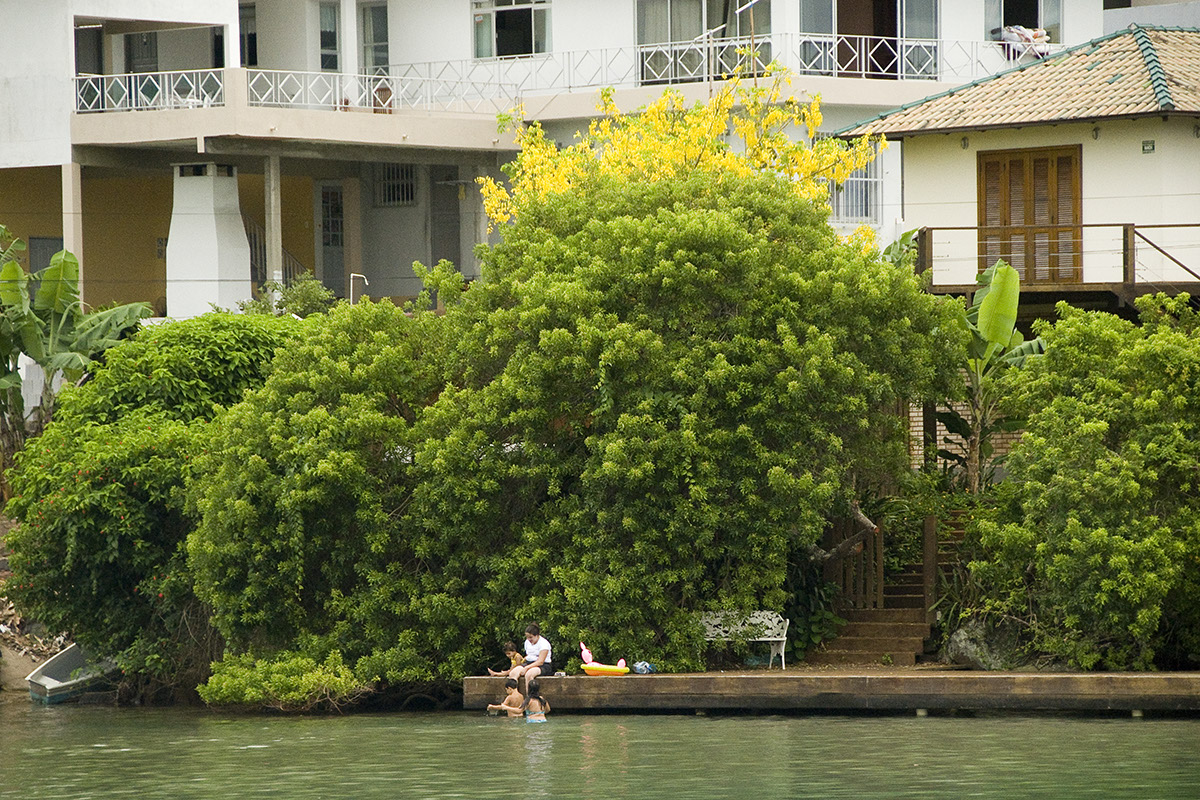 _FLO6106 Barra crop AContr