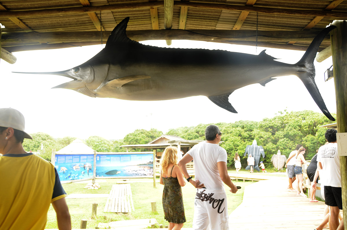 _FLO7744 Florianopolis