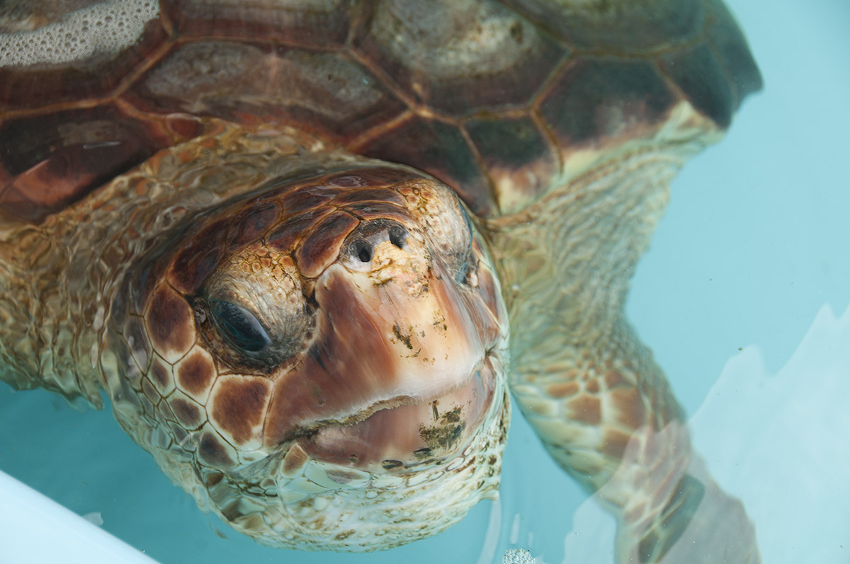 _FLO7756 Florianopolis