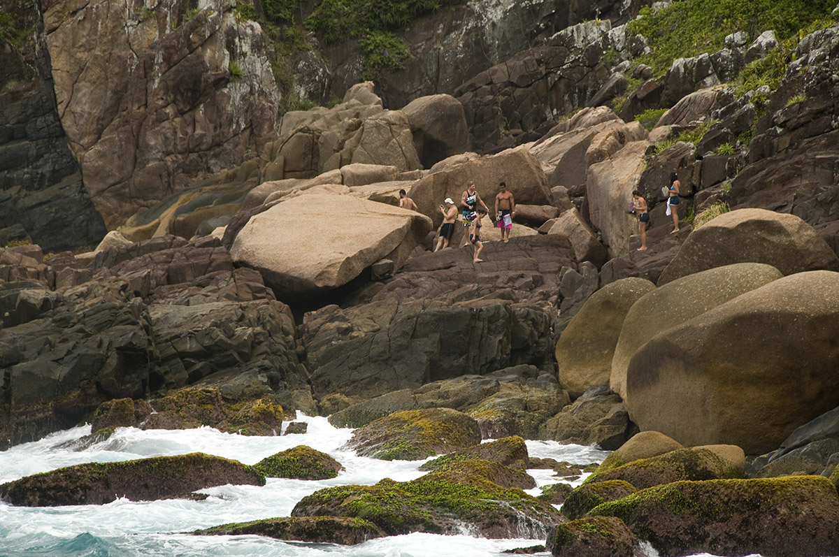 _FLO5928 Ile de Campeche David AContr