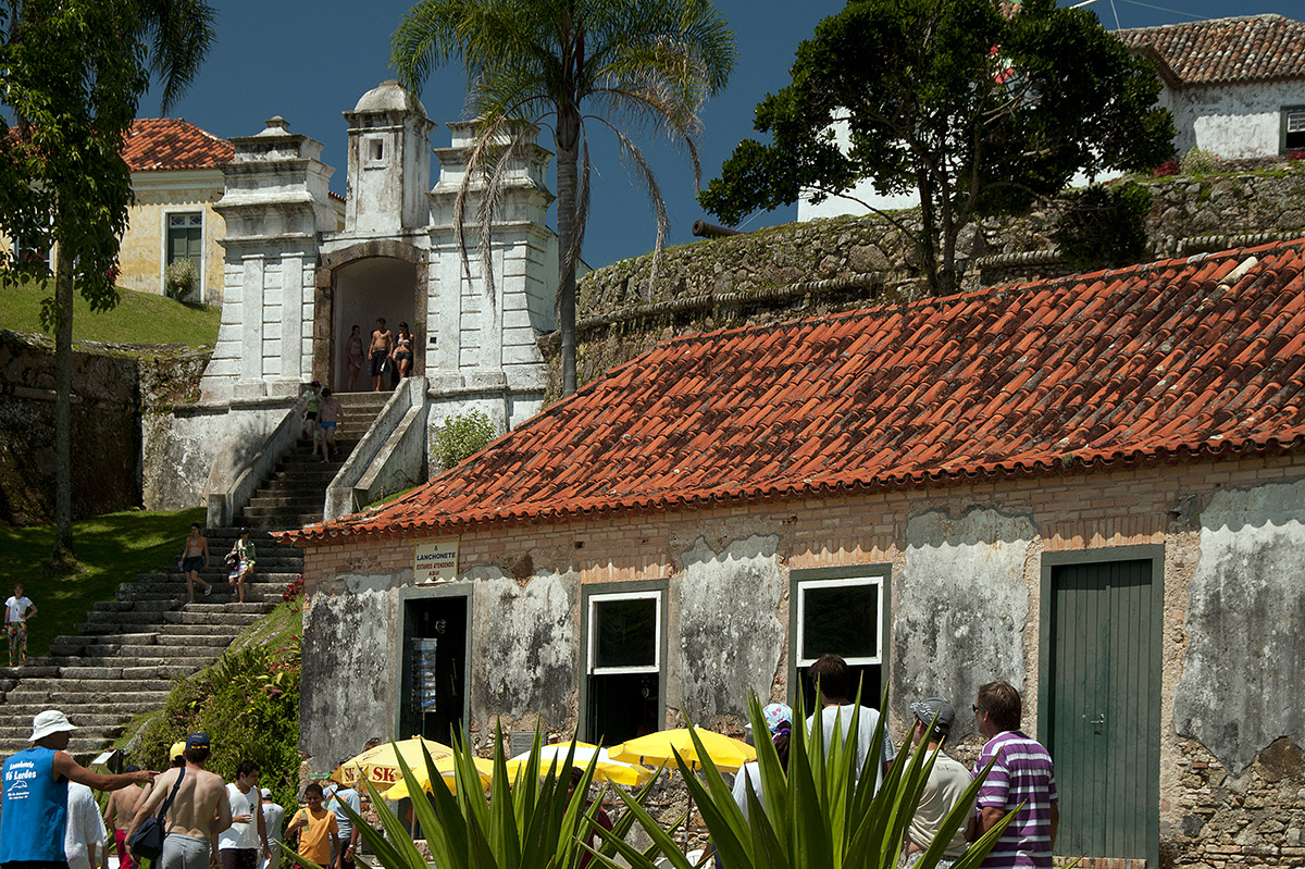 _FLO4963 Santa Carolina