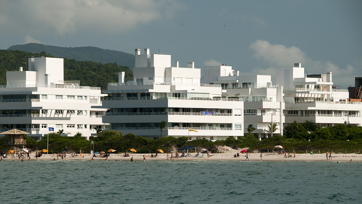 _FLO5074 Santa Carolina