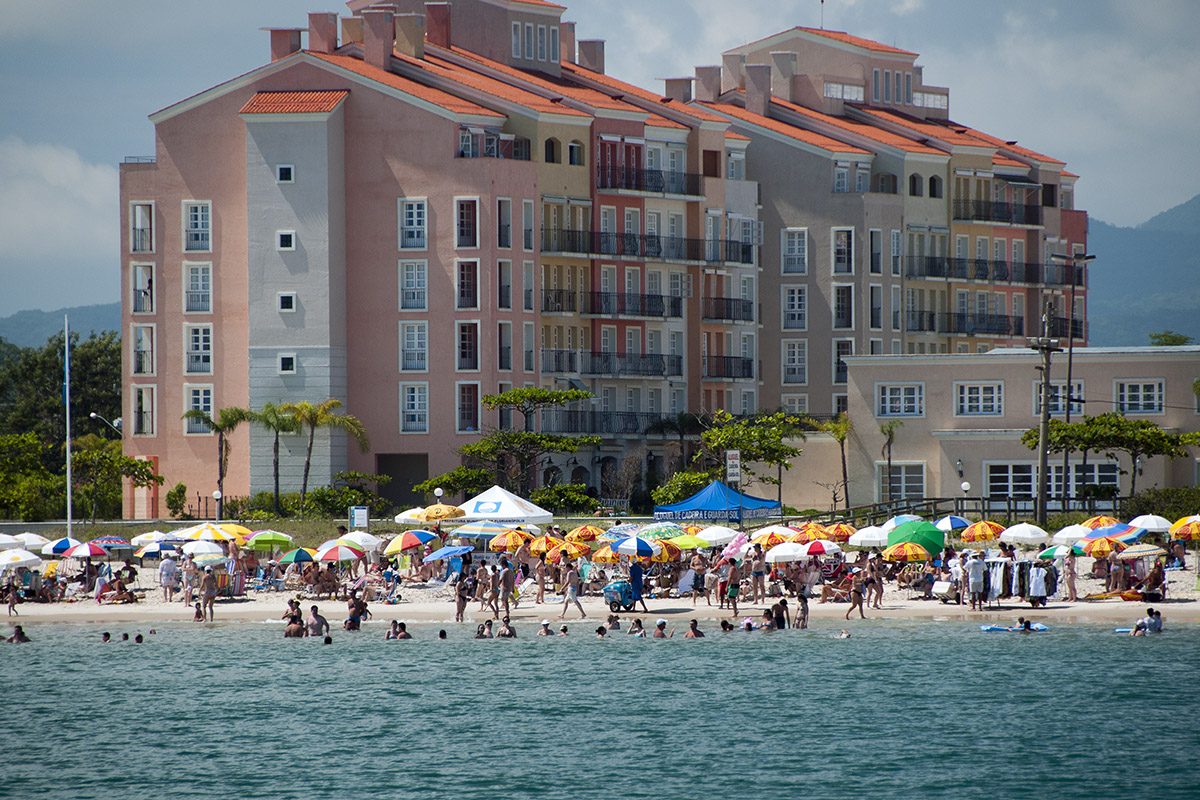 _FLO4811 Santa Carolina