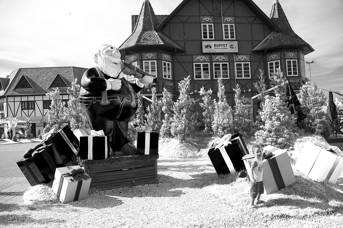 _FLO5637 Blumenhau N&B