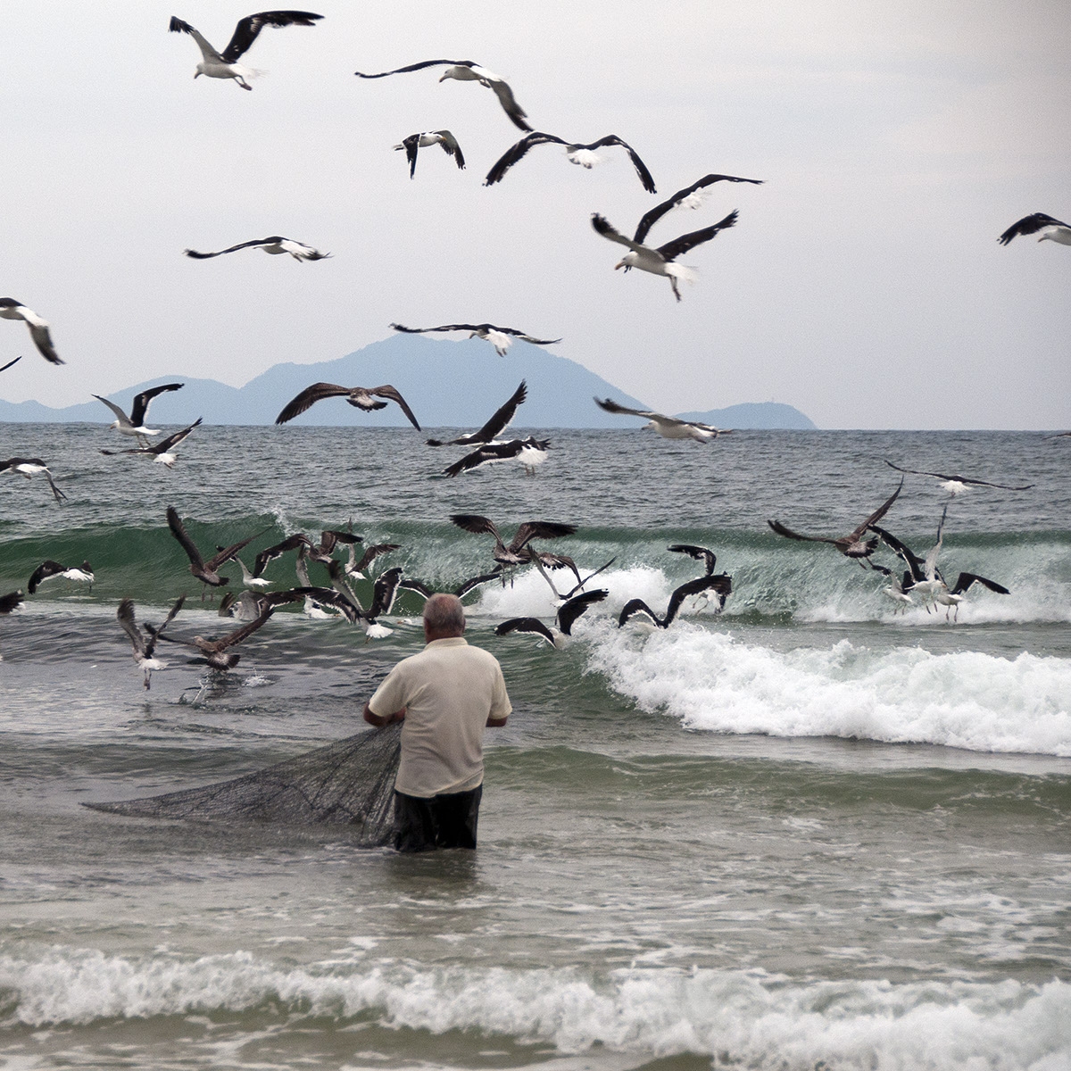 _FLO4465 Santa Catarina