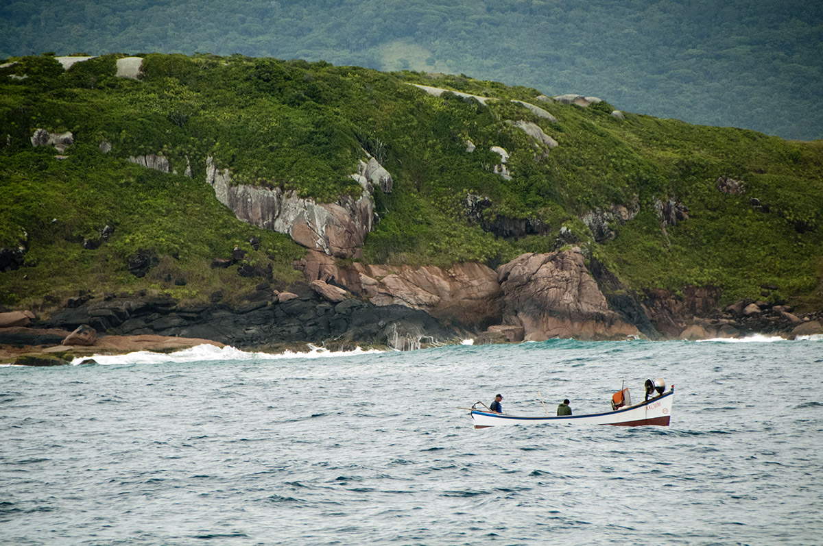 _FLO5833 Santa Catarina Porto da Barra
