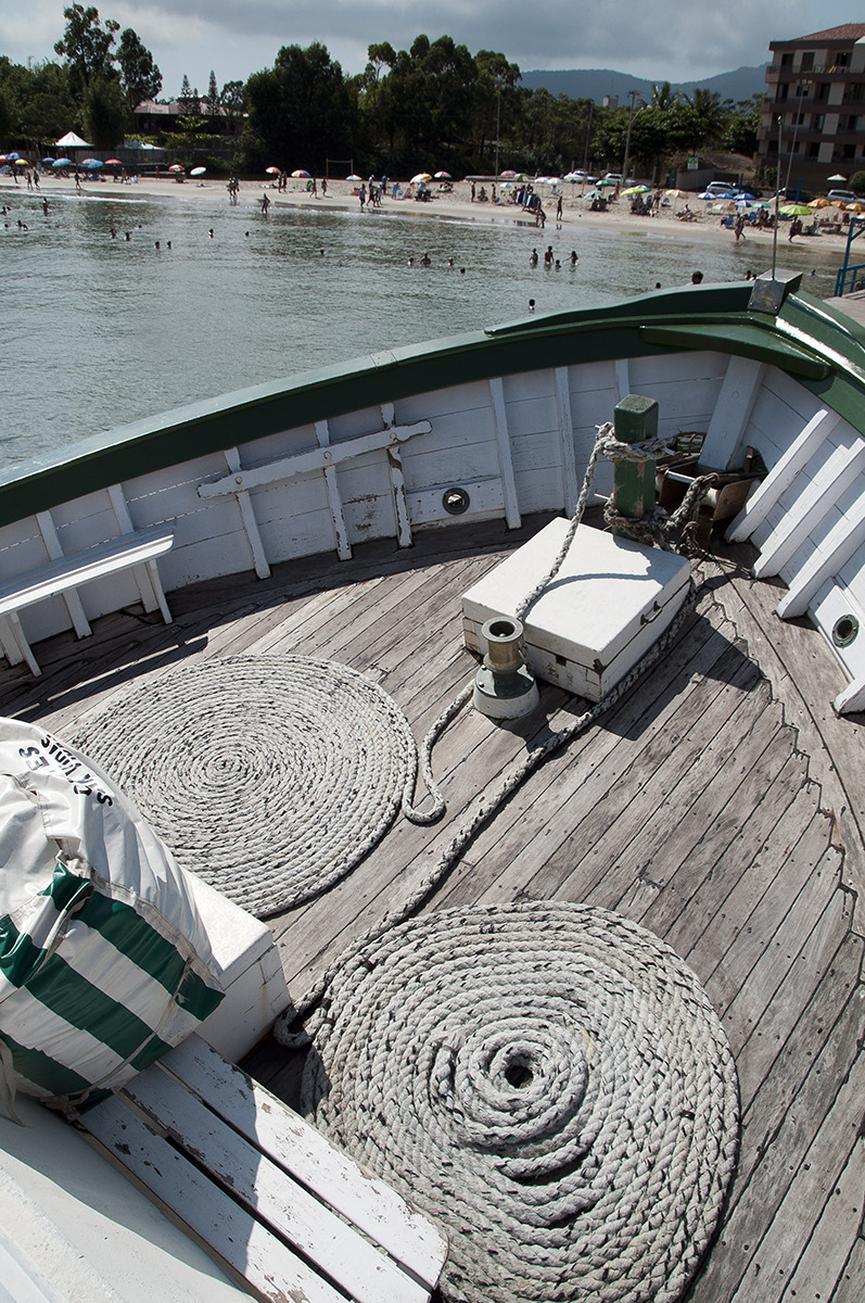 _FLO4775 Santa Carolina