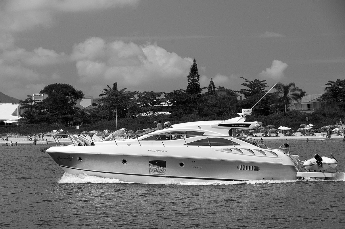 _FLO4813 Santa Carolina N&B