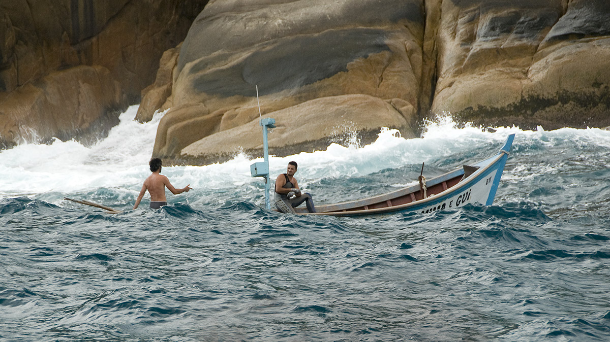 _FLO6080 Campeche crop clean ACont