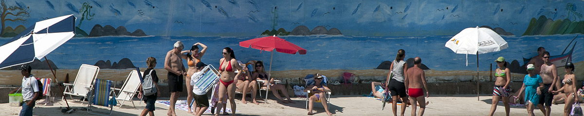 _FLO4777 Santa Carolina