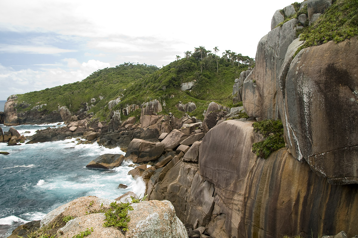 _FLO5914 Ile de Campeche David AContr