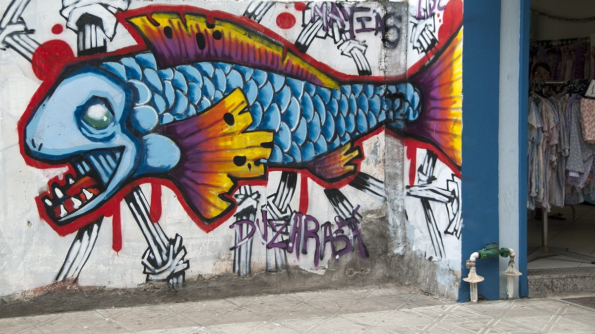 _FLO5268 Santa Catarina