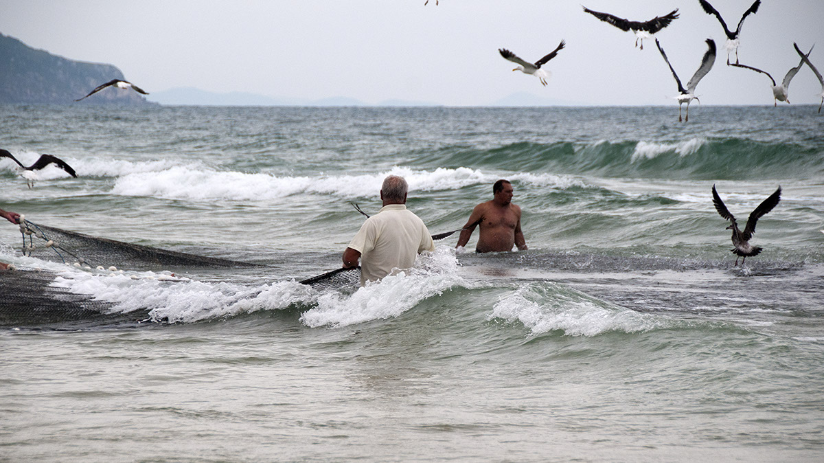 _FLO4489 Santa Catarina