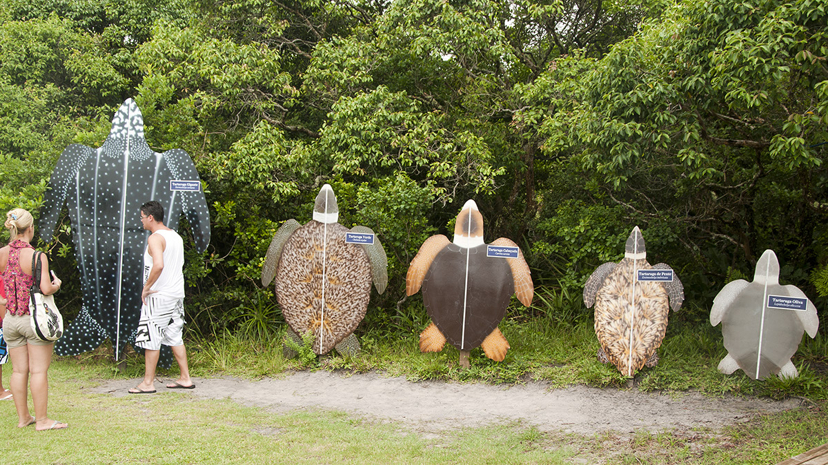 _FLO7759 Florianopolis