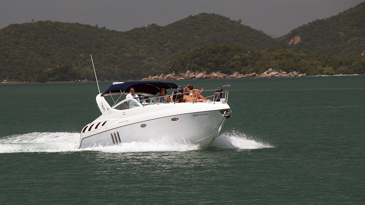 _FLO4840 Santa Carolina