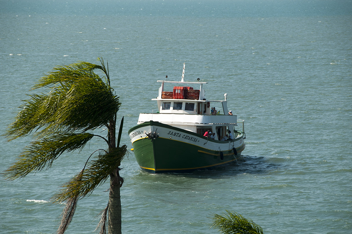 _FLO5066 Santa Carolina