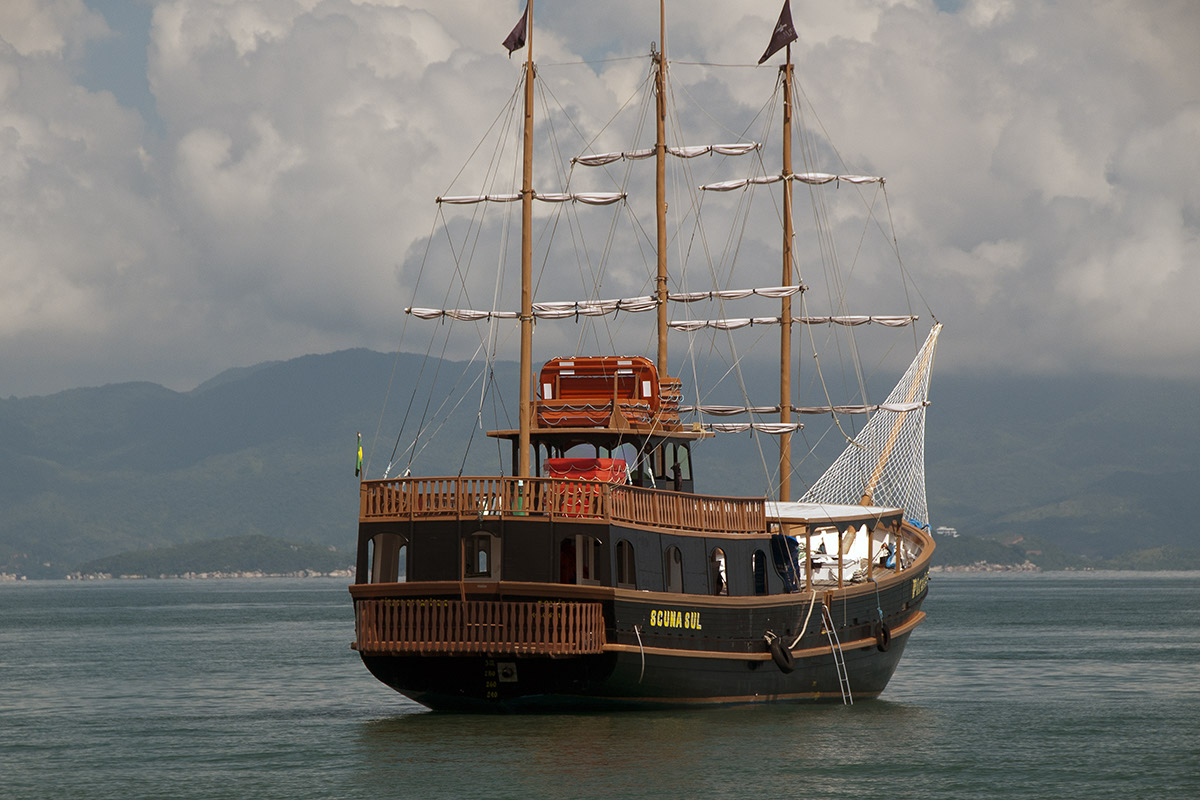 _FLO4765 Santa Carolina