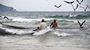 _FLO4489 Santa Catarina